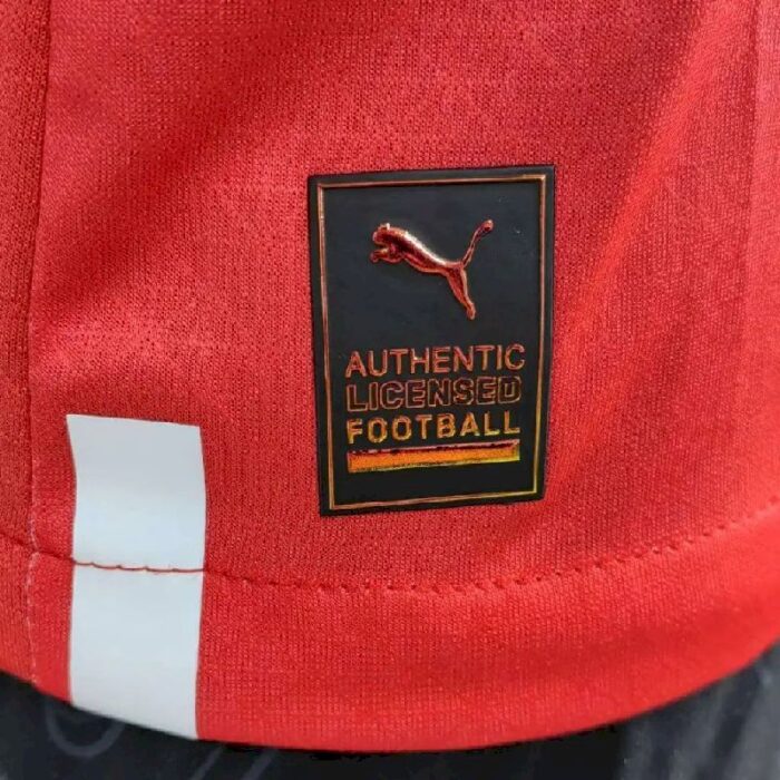 Mens Switzerland 2022 Home Jersey Player Version 5