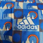 Mens Arsenal 2022/23 x TFL Pre-Match Jersey Player Version 2