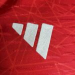 Mens Manchester United 2023/24 Pre-Match Jersey Player Version 5