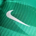 Mens Paris Saint-Germain 2023/24 Goalkeeper Jersey Player Version 4