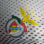 Mens Benfica 2022/23 Pre-Match Jersey Player Version 11