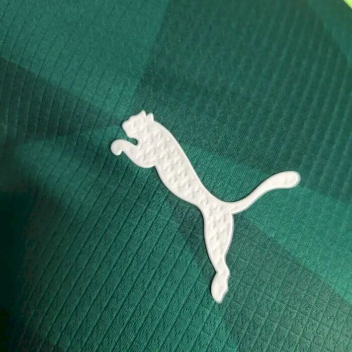 Mens Palmeiras 2023/24 Home Jersey Player Version 10
