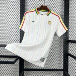 Mens Senegal 2026 Terrace Icons Jersey 8