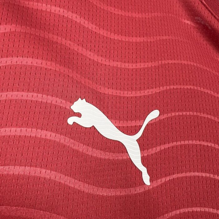 Mens Portugal 2026 World Cup Home Long sleeves Jeresy 5