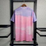 Mens Japan 2024/25 Pink Jersey 1