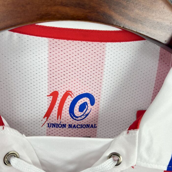 Retro Chivas 2016/17 110th Anniversary Long Sleeve Jersey 9