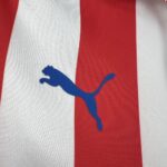 Retro Chivas 2016/17 110th Anniversary Long Sleeve Jersey 8