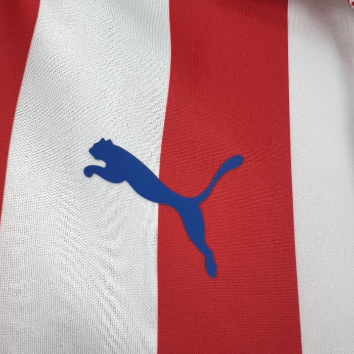 Retro Chivas 2016/17 110th Anniversary Long Sleeve Jersey 8