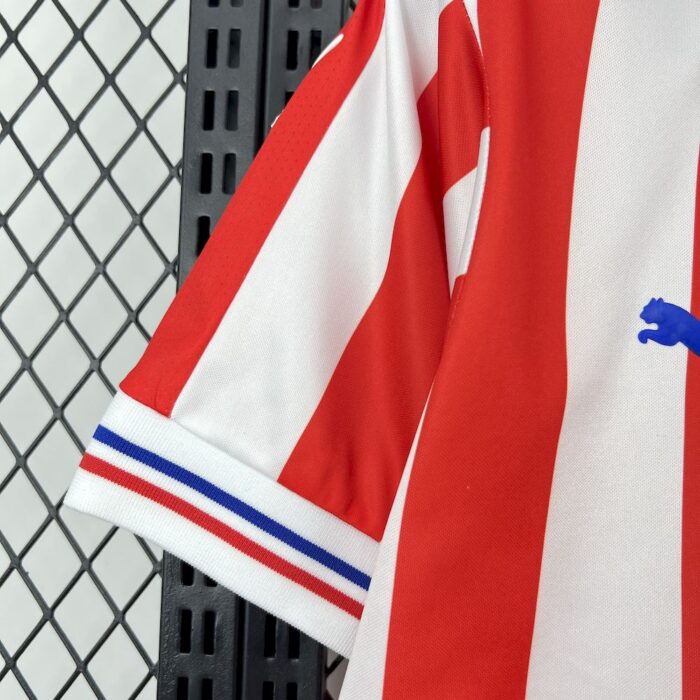 Retro Chivas 2016/17 110th Anniversary Jersey 8