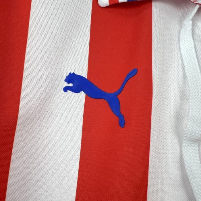 Retro Chivas 2016/17 110th Anniversary Jersey 7