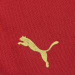Mens Morocco 2026 World Cup Home Jersey 6