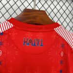 Mens Haiti 2026 World Cup Third Jersey 2
