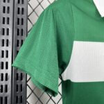 Womens Palmeiras 2025/26 Special Jersey 3