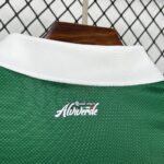 Womens Palmeiras 2025/26 Special Jersey 2