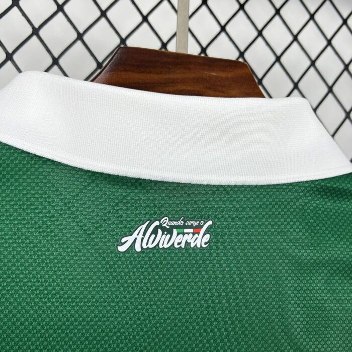 Womens Palmeiras 2025/26 Special Jersey 2