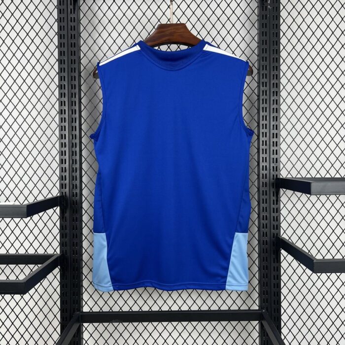 Mens Cruzeiro 202526 Pre-Match Vest Jersey 1