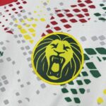 Mens Cameroon 2026 Away Jersey 5