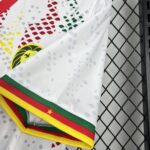 Mens Cameroon 2026 Away Jersey 4