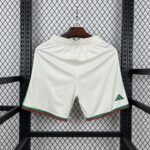 Mens Algeria 2026 World Cup Home Shorts 1