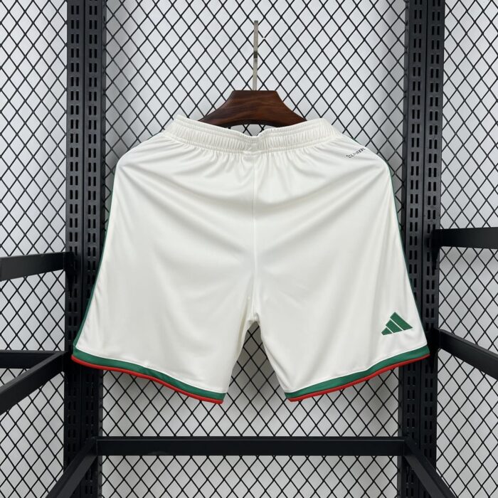 Mens Algeria 2026 World Cup Home Shorts 1