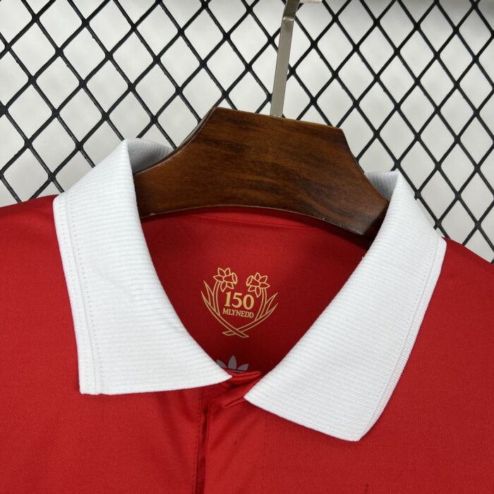 Mens Wales 2026 150th Anniversary Jersey 8