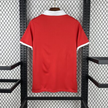 Mens Wales 2026 150th Anniversary Jersey 1