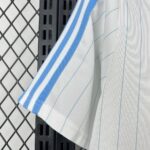 Mens Argentina 2026 Terrace Icons Jersey 4