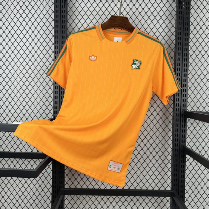 Mens Cameroon 2026 Terrace Icons Jersey 7