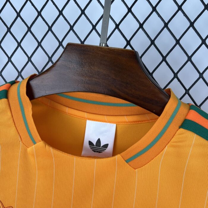 Mens Cameroon 2026 Terrace Icons Jersey 5