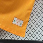 Mens Cameroon 2026 Terrace Icons Jersey 2