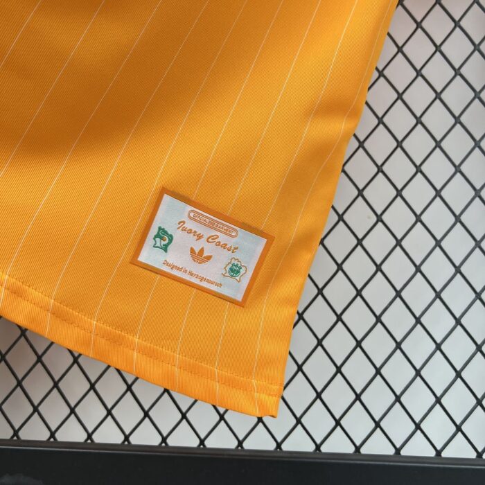 Mens Cameroon 2026 Terrace Icons Jersey 2