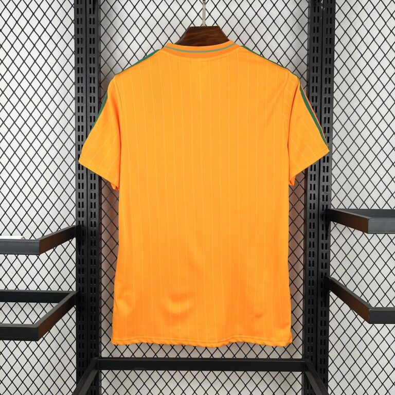 Mens Cameroon 2026 Terrace Icons Jersey 1