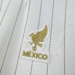 Mens Mexico 2026 Terrace Icons Jersey 3