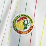 Mens Senegal 2026 Terrace Icons Jersey 4