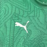 Mens Fluminense 2025/26 Pre-Match Jersey 5