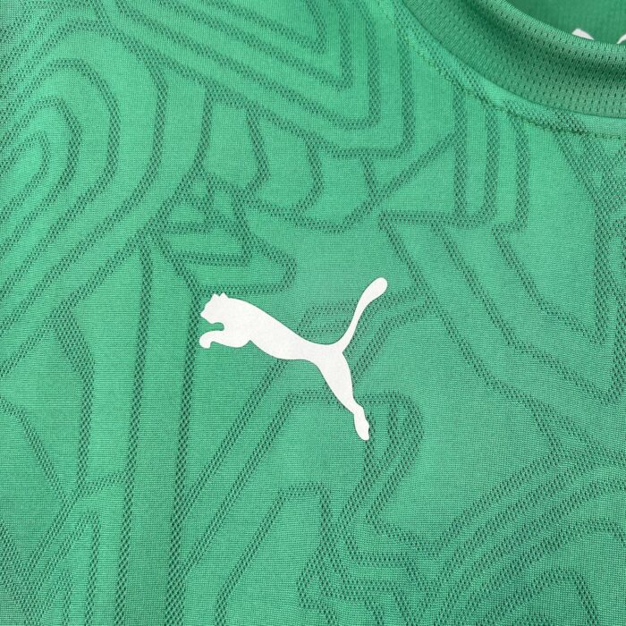 Mens Fluminense 2025/26 Pre-Match Jersey 5