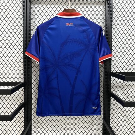 Mens Haiti 2026 World Cup Home Jersey 1