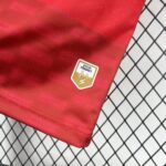 Mens Haiti 2026 World Cup Third Jersey 3