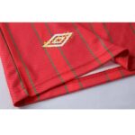 Retro Wales 1994/96 Home Jersey - Image 3