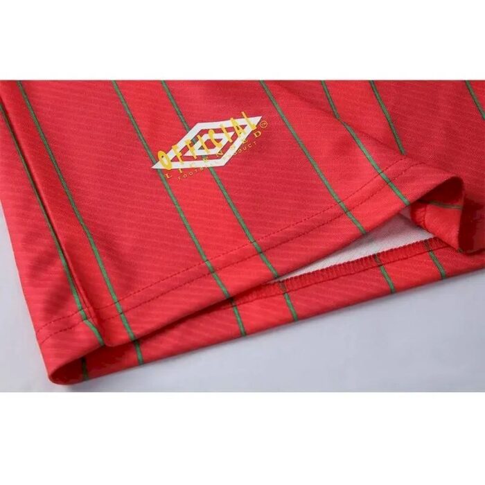 Retro Wales 1994/96 Home Jersey - Image 3