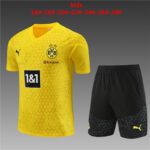 Kids Borussia Dortmund 2023/24 Training Jersey+Short 14001