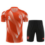 Mens Bayern Munich 2023/24 Training Jersey+Short 14001