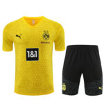 Mens Borussia Dortmund 2023/24 Training Jersey+Short 14001