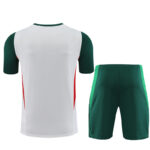 Mens Mexico 2023/24 Training Jersey+Short 14001-1 - Image 2