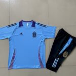 Mens Argentina 2023/24 Training Jersey+3/4 Short 815
