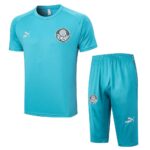 Mens Palmeiras 2023/24 Training Jersey+3/4 Short 815