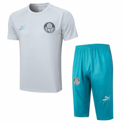 Mens Palmeiras 2023/24 Training Jersey+3/4 Short 815