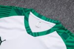 Mens Palmeiras 2023/24 Training Jersey+Pant 815 - Image 5