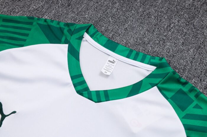 Mens Palmeiras 2023/24 Training Jersey+Pant 815 - Image 5