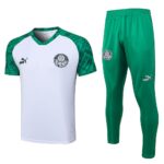 Mens Palmeiras 2023/24 Training Jersey+Pant 815 - Image 3